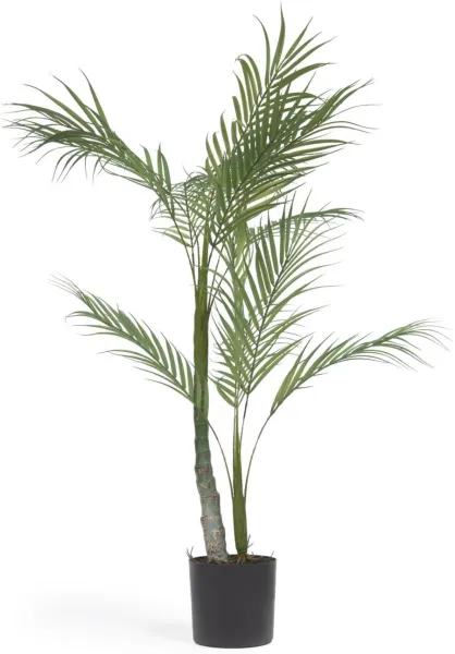 Palmera, Künstliche Pflanze, schwarz, H70x70x60 cm