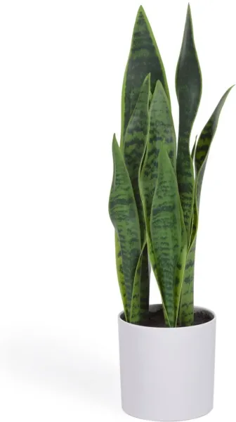 Sansevieria, Künstliche Pflanze, weiß, H55x18x19 cm