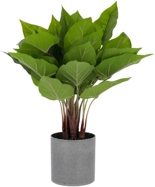 Anthurium, Künstliche Pflanze, grün/grau, H50x40x40 cm