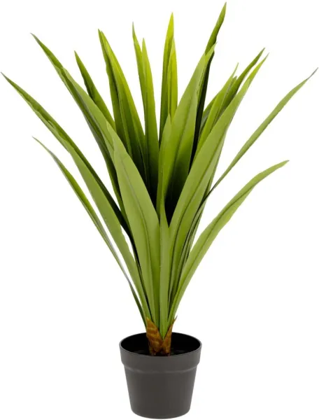 Yucca, Künstliche Pflanze, grün/schwarz, H80x60x60 cm