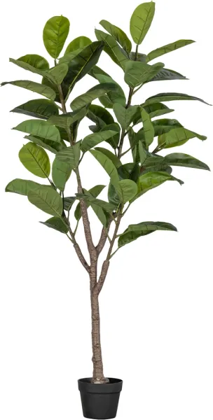 Gummibaum, künstliche Pflanze, grün, H135x74x55 cm